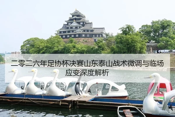 二零二六年足协杯决赛山东泰山战术微调与临场应变深度解析