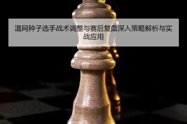 wen-wang-zhong-zi-xuan-shou-zhan-shu-tiao-zheng-yu-sai-hou-fu-pan-shen-ru-ce-lve-jie-xi-yu-shi-zhan-ying-yong-2-470.jpg