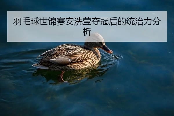 羽毛球世锦赛安洗莹夺冠后的统治力分析